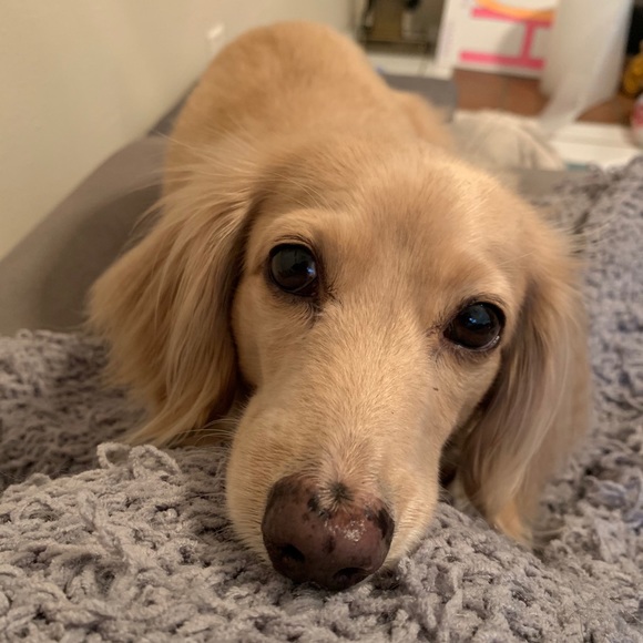 Meet The Posher - Picture 3 of 9